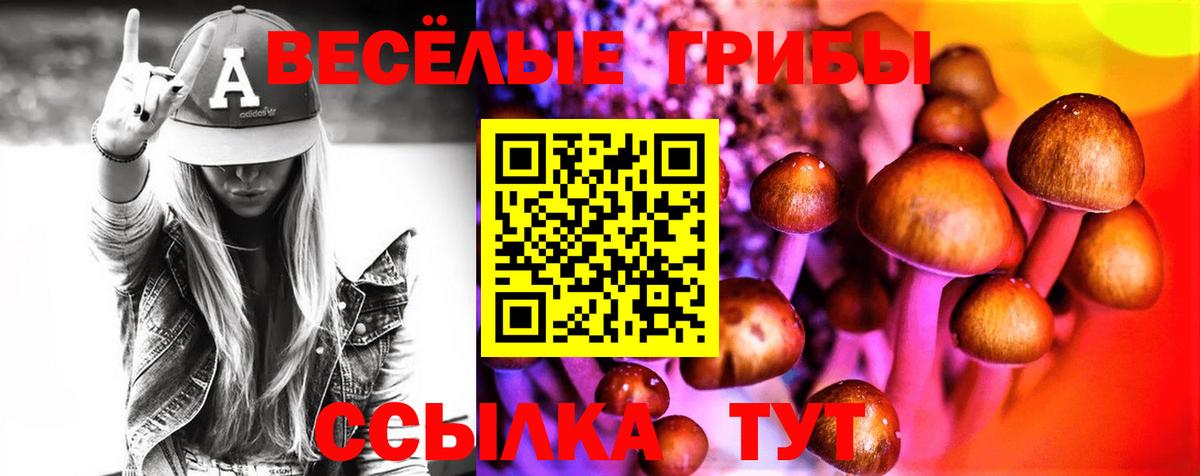 Галлюциногенные грибы мицелий  Вход с VPN  Тула 